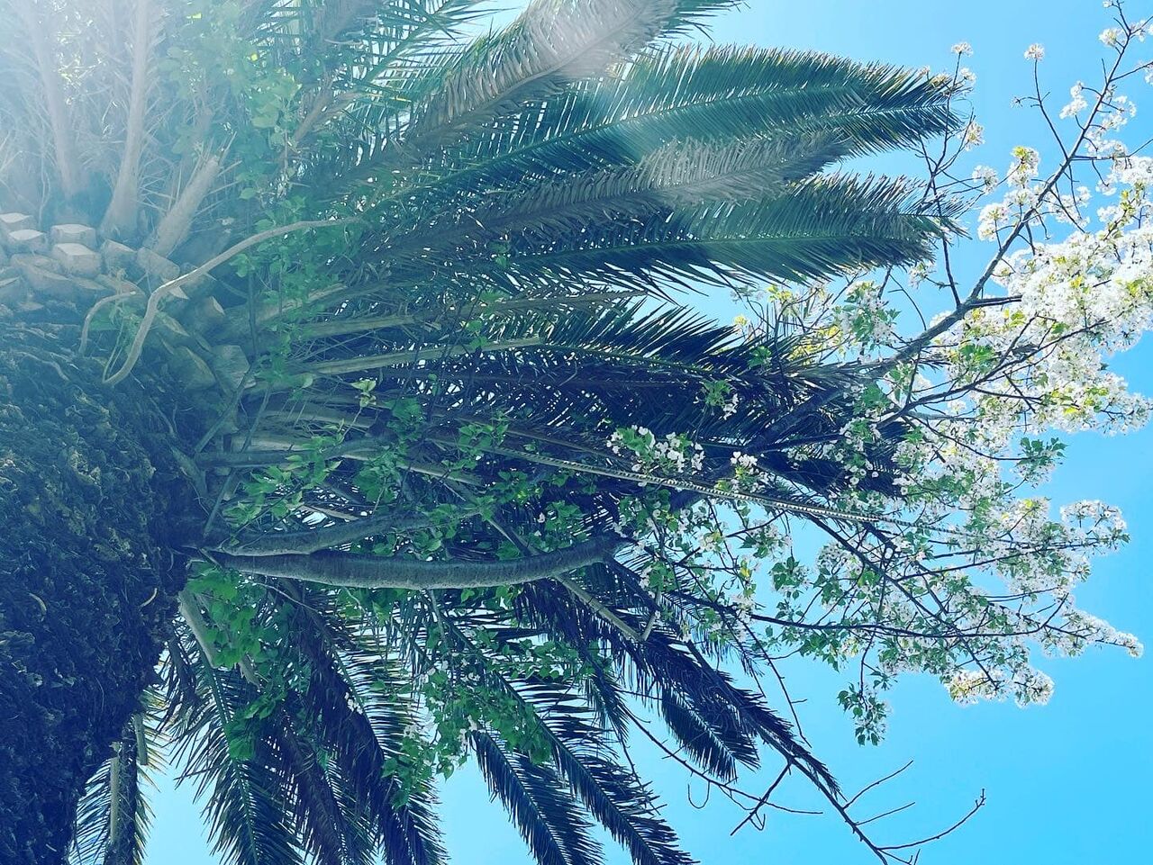 338875821_576772224653070_2511663004757325374_n