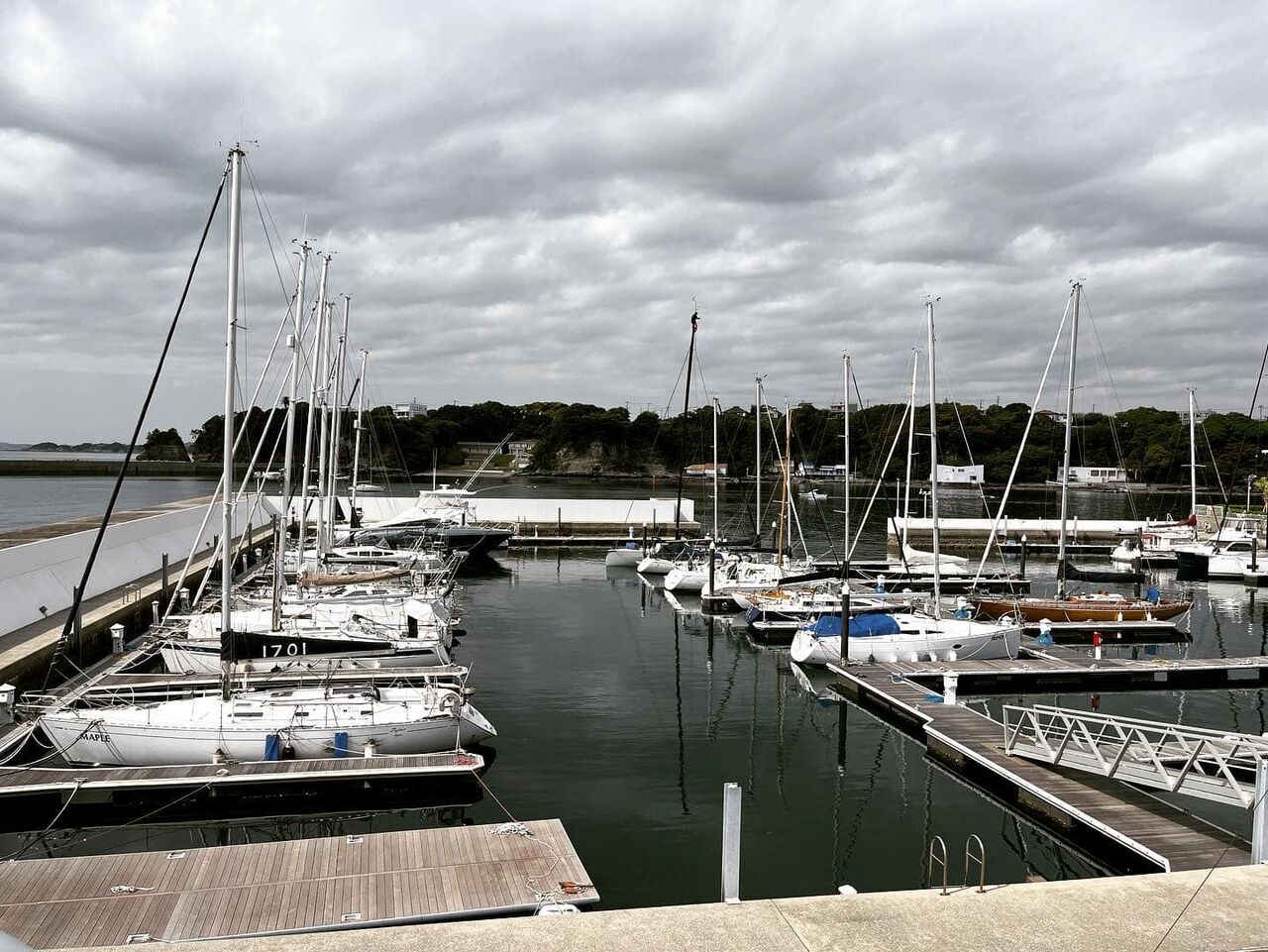 342809069_236039859079886_4251741900039092947_n