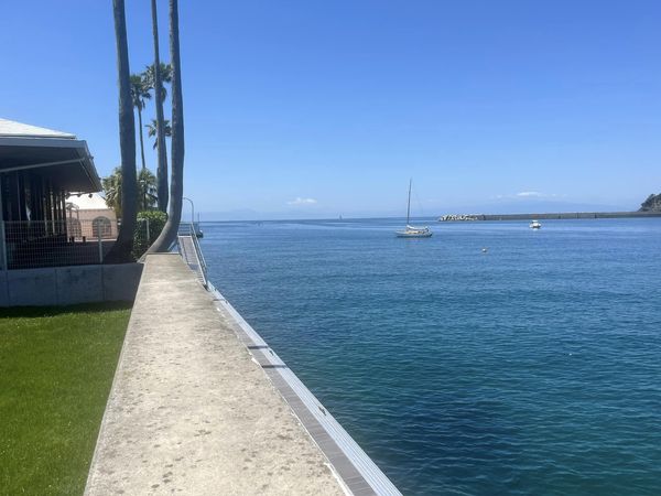 438275954_7493612747341457_5709835561942712274_n