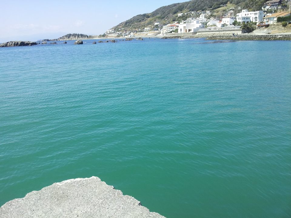 1957359_653656841337116_314807162_n