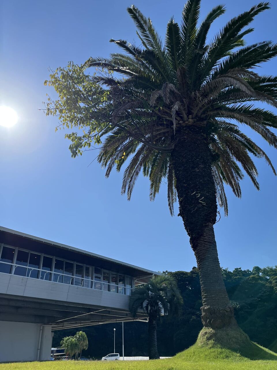 312013286_5523468047689280_6981844210489955178_n