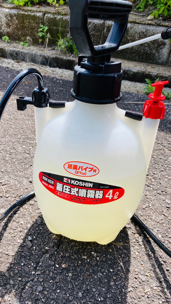 太陽光発電所の草刈り 令 現役サラリーマンが副業で時間付きの収入を得ながら マイルで世界中をタダで旅するブログ 太陽光発電所の草刈り 令 現役サラリーマンが副業で時間付きの収入を得ながら マイルで世界中をタダで旅するブログ
