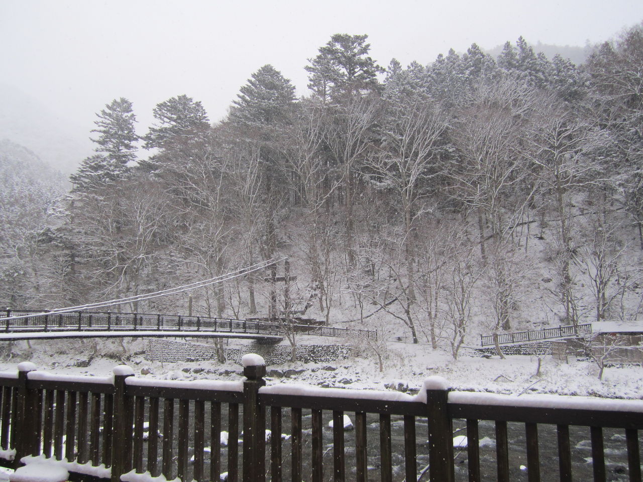3月11日 塩原温泉は昨夜から雪 しおばら通信 3月11日 塩原温泉は昨夜から雪 しおばら通信
