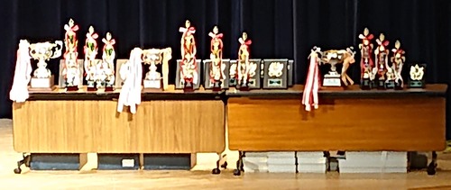 DSC_0137_copy_4877x2060_copy_3657x1545