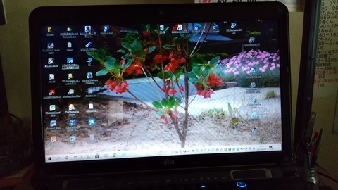 CENTER_0001_BURST20210601100547819_COVER