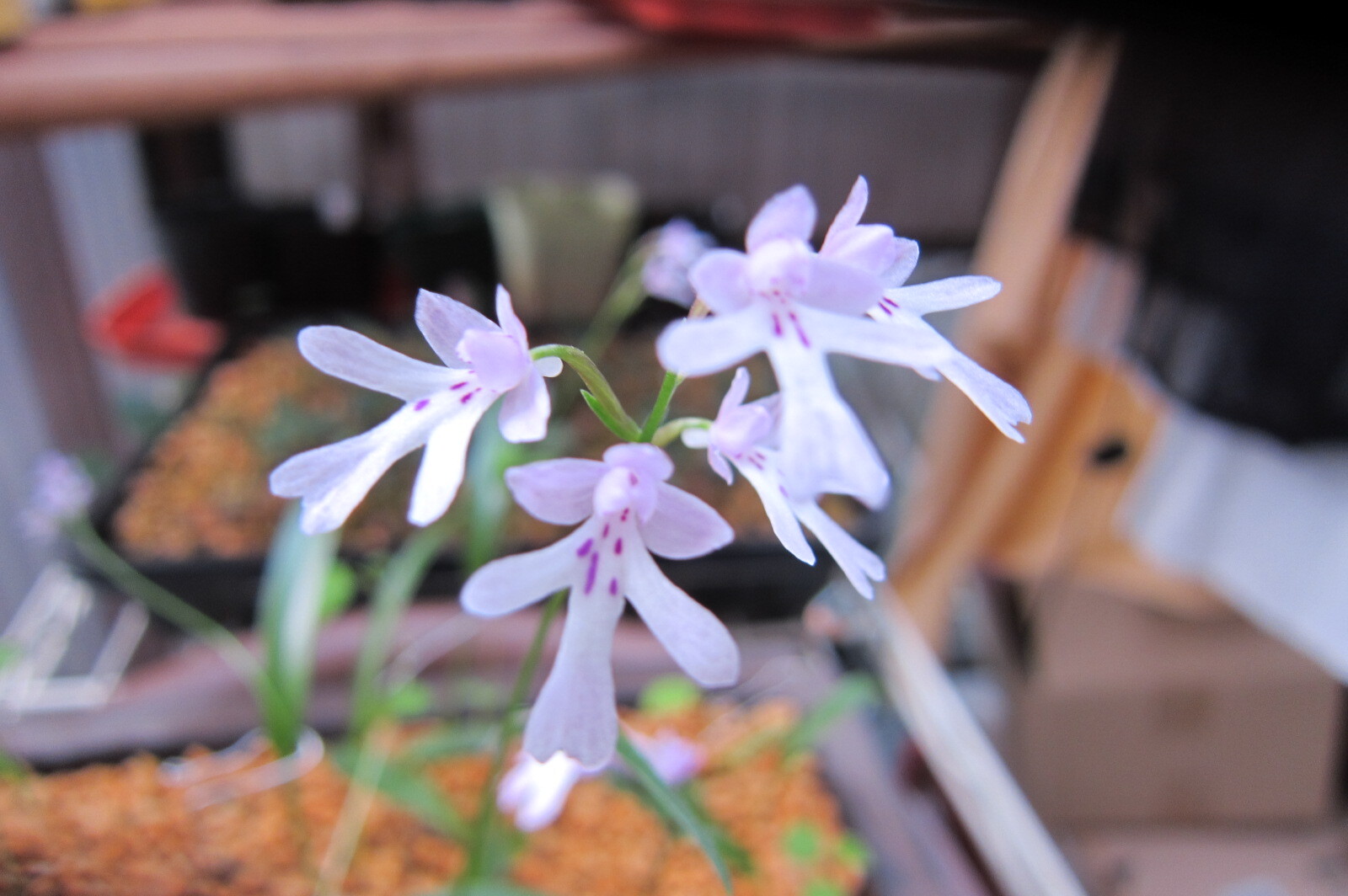 年05月 潮 騒 の Blog