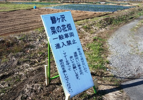 20160430_154438