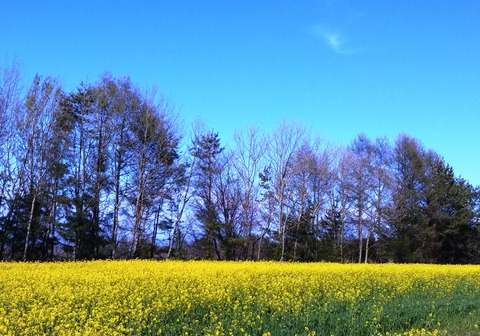 20160430_153823