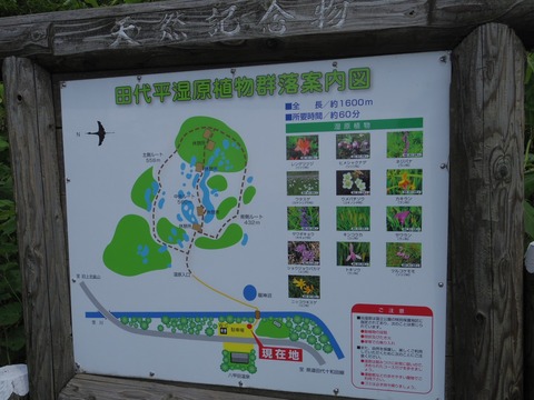 IMGP4491