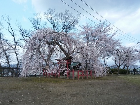20200425_094909 - コピー