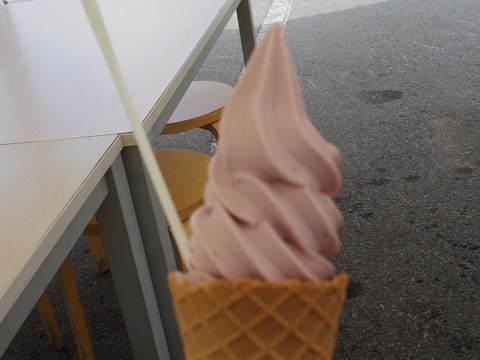 IMGP6843