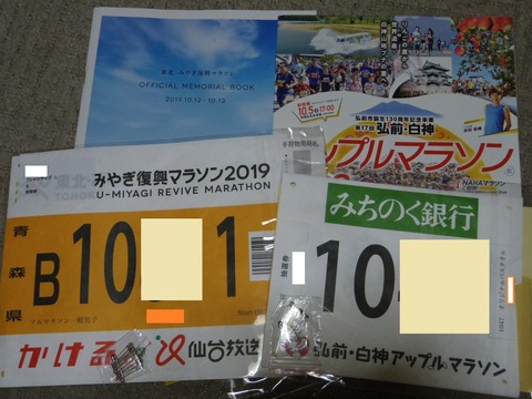 IMGP6959
