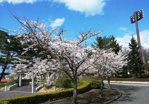 20170422_143647