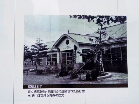 IMGP4620