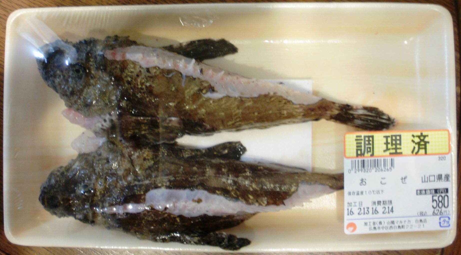 オコゼ 島爺と仲間たち オコゼ 島爺と仲間たち