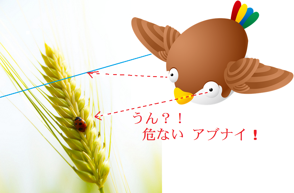 白木農園だより
      間も無く 麦秋
    コメントトラックバック