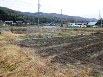 20191207 (8)