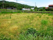 20200514 (7)
