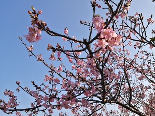 IMG_20210221_153118