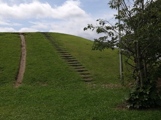 IMG_20200726_100418.jpg¤²¤ó¤£³