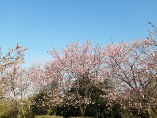 IMG_20210221_153256