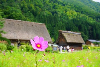 白川郷
