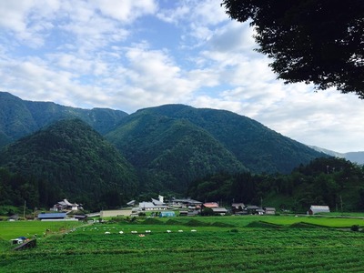 ナチュール宮川の景色