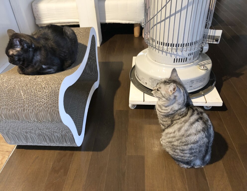 こだわり？ : はーちゃんのおうち