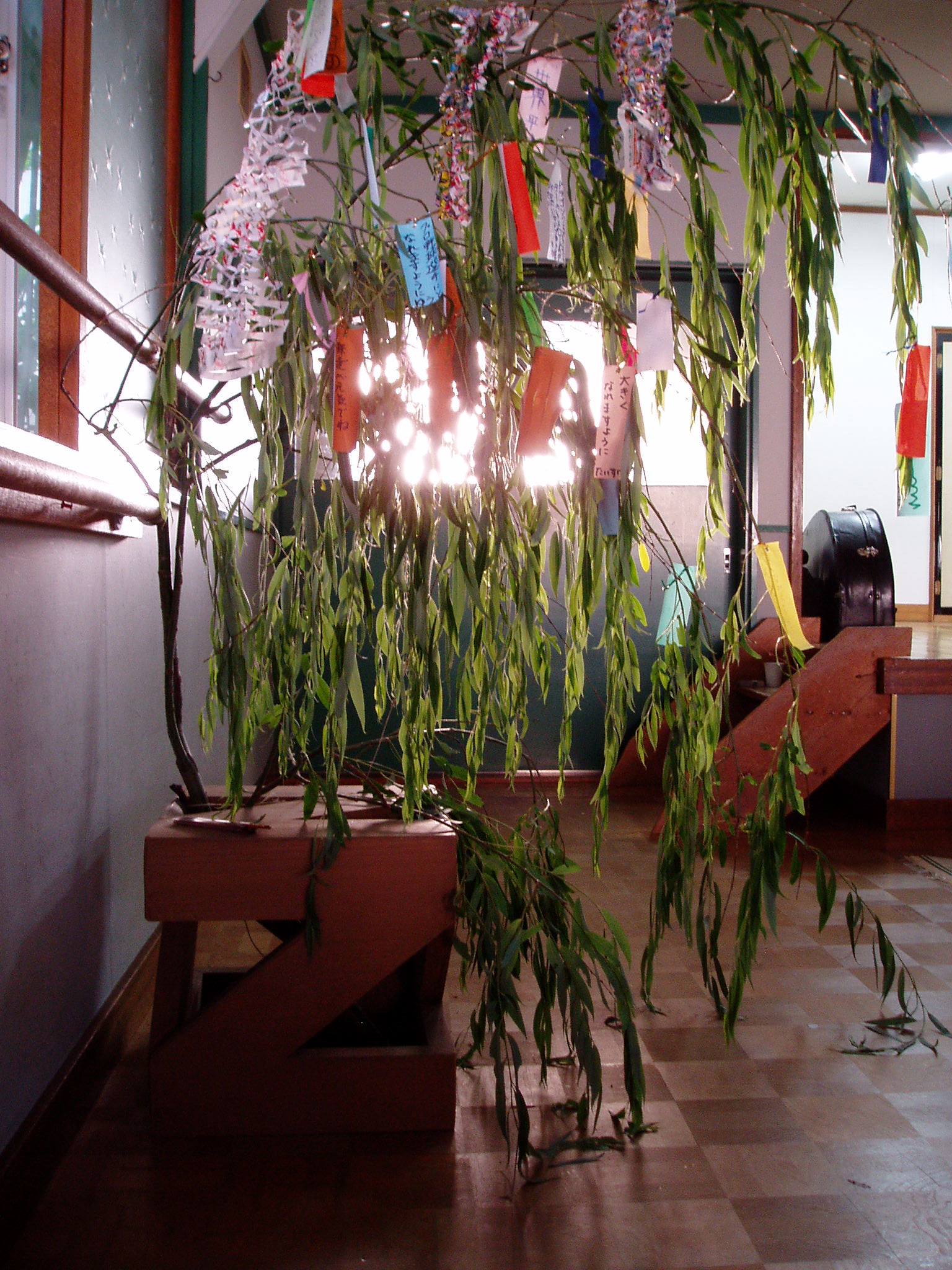 ｓａｗｓａｗａ七夕フェスタ Zenicube Zenibako Life 札幌でも小樽でもない