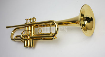 シルキー　B3 トランペット　nxs... シルキー B3 トランペット nxs シルキー B3 トランペット nxs