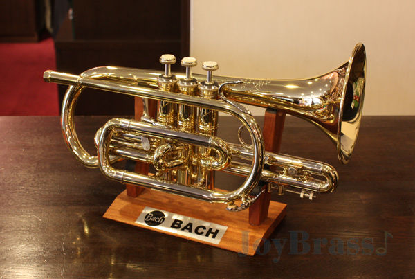 V.Bach 184ML ショートコルネット : JOY BRASS 公式ブログ(旧) V.Bach 184ML ショートコルネット : JOY BRASS 公式ブログ(旧)