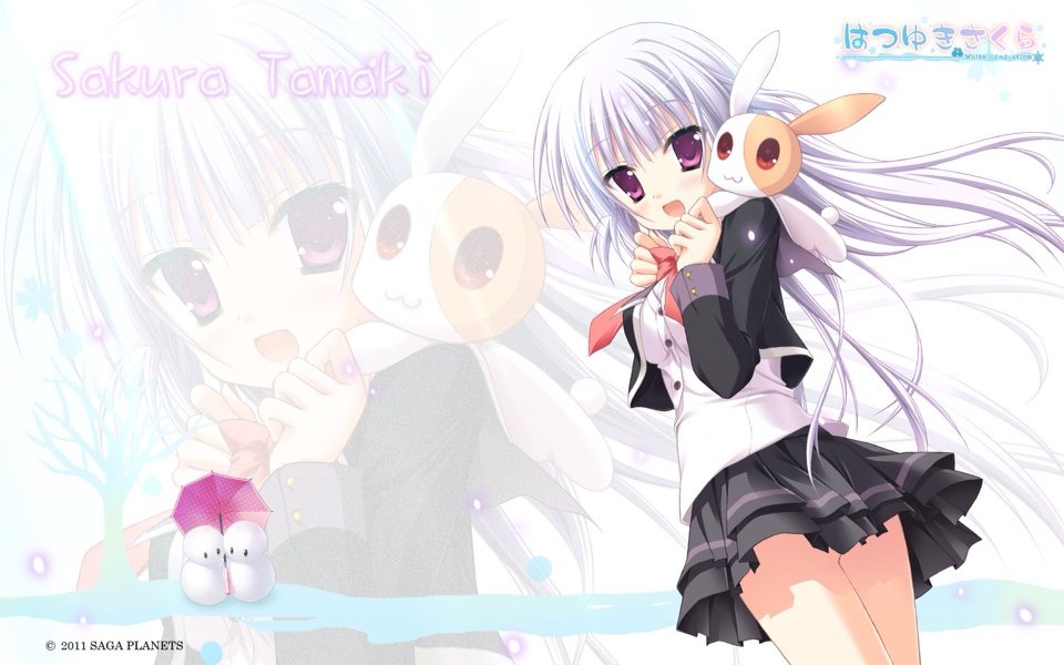 はつゆきさくら Swhiteのきまぐれブログ はつゆきさくら Swhiteのきまぐれブログ