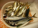 DSCF5570