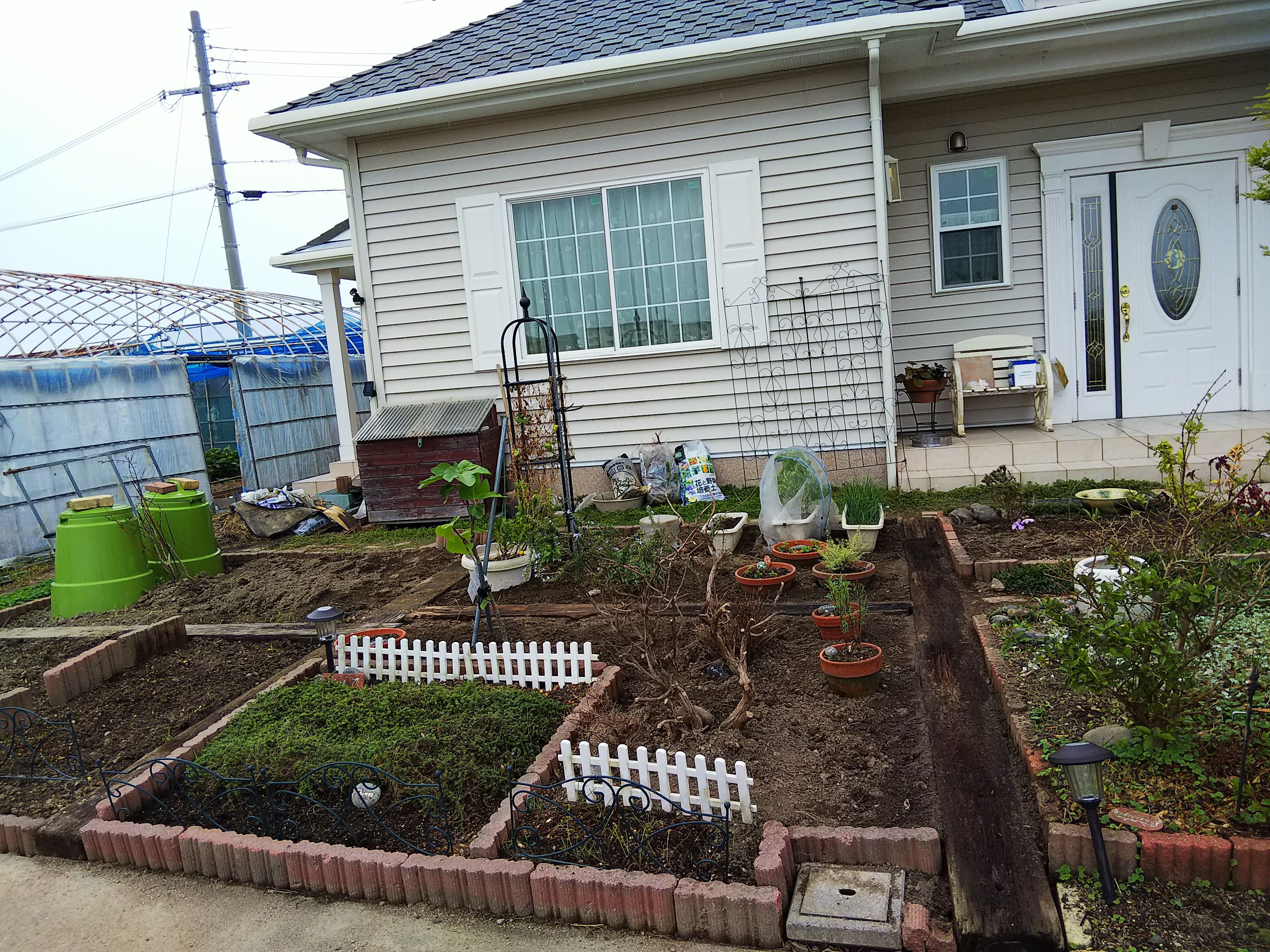 塩害に強い樹木 田舎暮らし 煙樹ヶ浜 えんじゅがはま だより