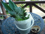 DSCF5661