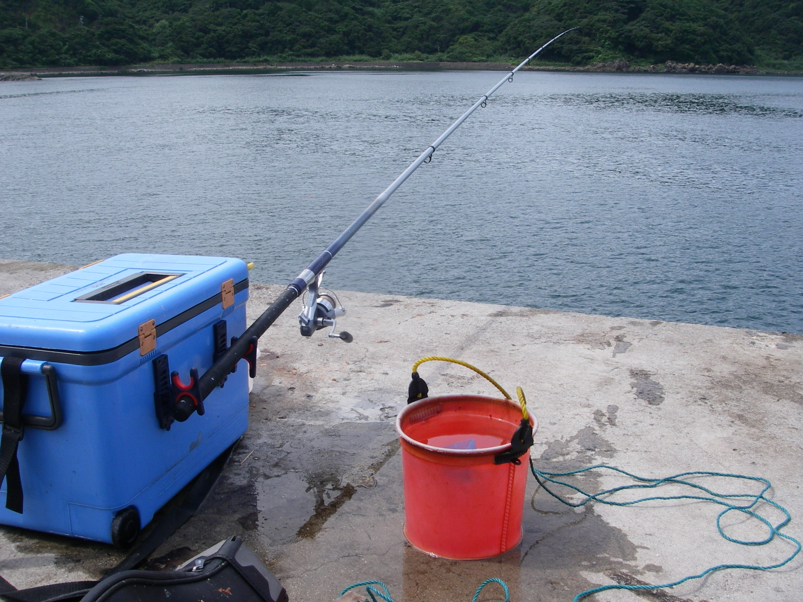 二日続けて防波堤で遠投カゴ釣り 田舎暮らし 煙樹ヶ浜 えんじゅがはま だより