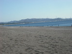 DSCF5564