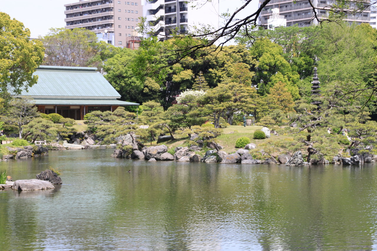 清澄庭園 旧岩崎邸庭園 しろちゃんブログ 清澄庭園 旧岩崎邸庭園 しろちゃんブログ
