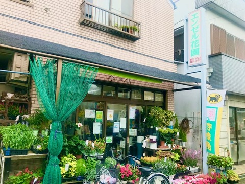 image4