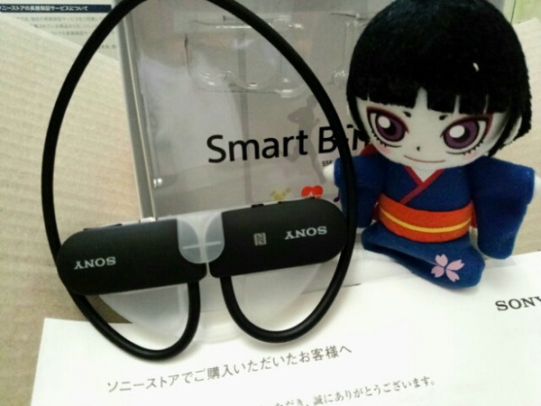 Sony B-trainer