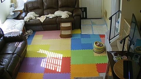 Screenshot_20191021-122208_iSmartViewPro