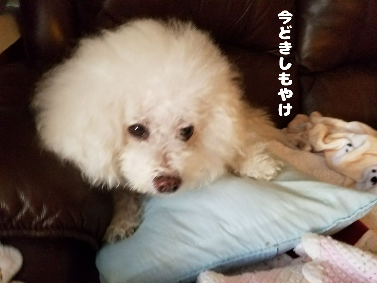 母さんしもやけになる 涙 ちびつぶ