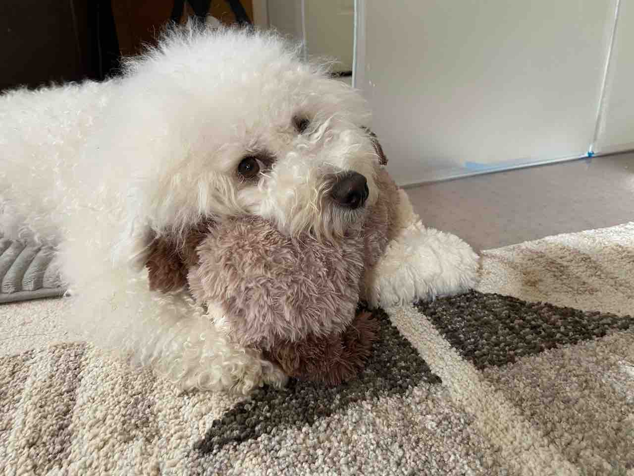 可愛いジャイアン ちびつぶ