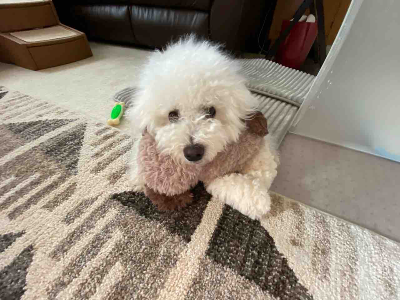 可愛いジャイアン ちびつぶ