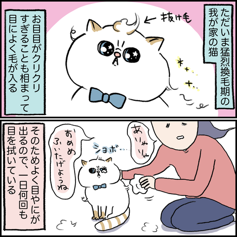 E07D4CC7-C015-4F1D-8FE8-5D50417B4434