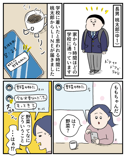 中1長男の無理なお願い : 桃金兄弟と母の日常 Powered by ライブドアブログ