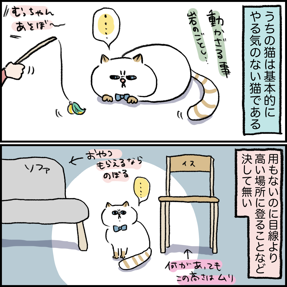 めったに動かない猫が慣れないことした結果 桃金兄弟と母の日常 Powered By ライブドアブログ めったに動かない猫が慣れないことした結果 桃金兄弟と母の日常 Powered By ライブドアブログ
