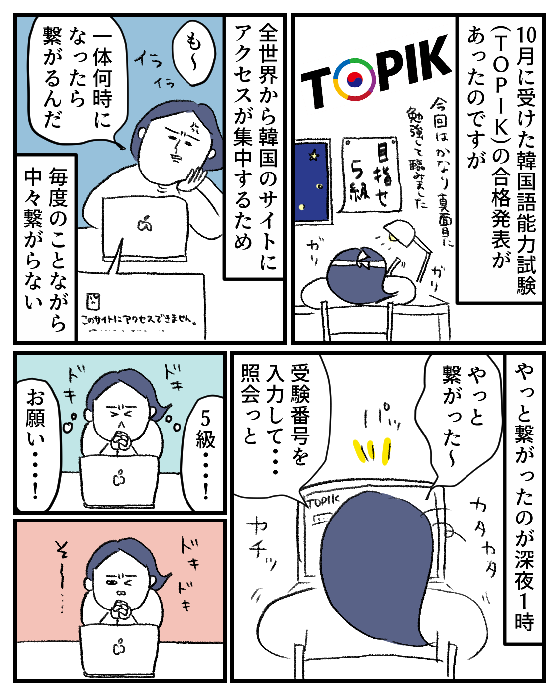 TOPIK（韓国語能力試験）の結果と中学受験生 : 桃金兄弟と母の日常