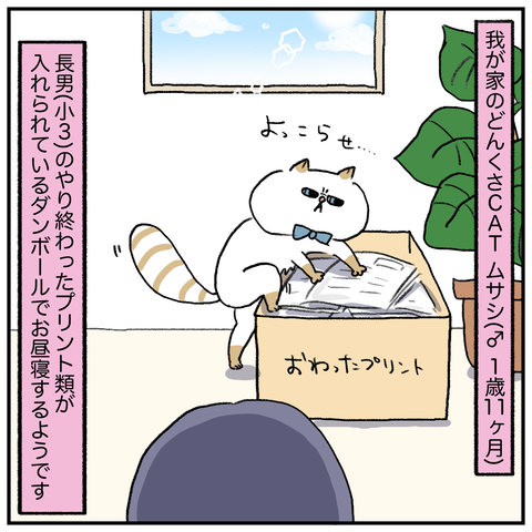 1C60FE29-B18B-4D6F-9B8D-107743BCD957