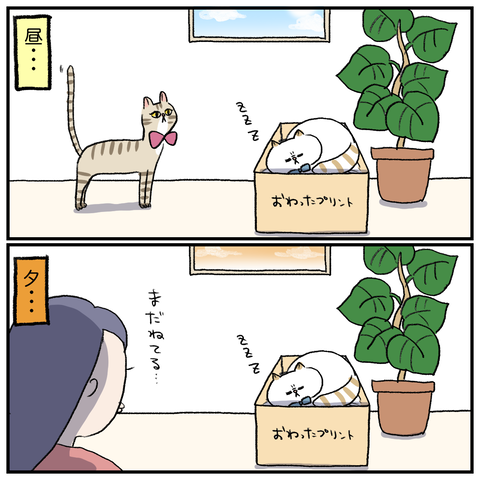15CF3E0D-4920-4BBF-96FC-251F3C2D039F